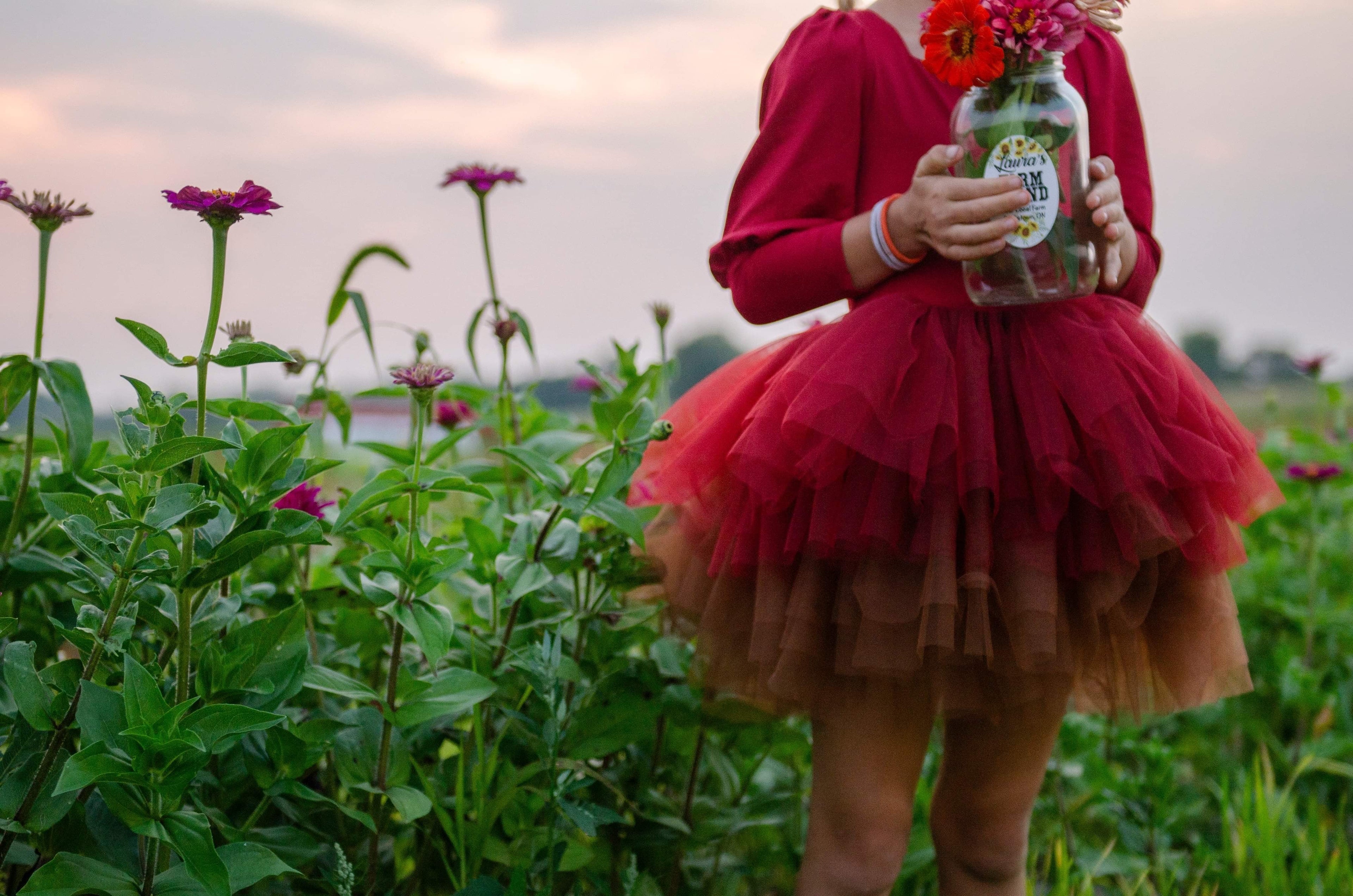 Wine ombré soft tulle tutu Leo one piece