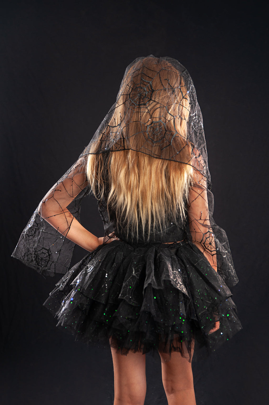 VEIL AND SPIDERWEB MESH TOP (NO TUTU)