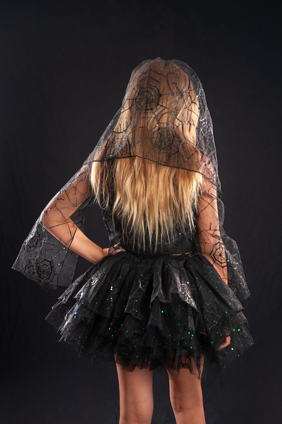 VEIL AND SPIDERWEB MESH TOP (NO TUTU)