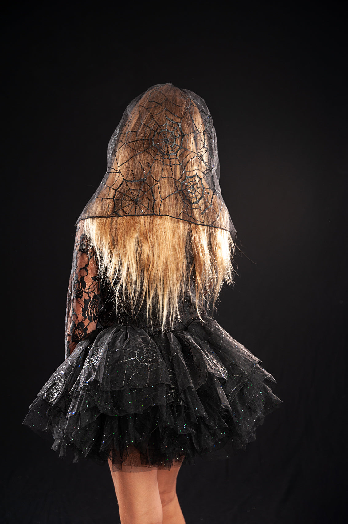 VEIL AND SPIDERWEB MESH TOP (NO TUTU)