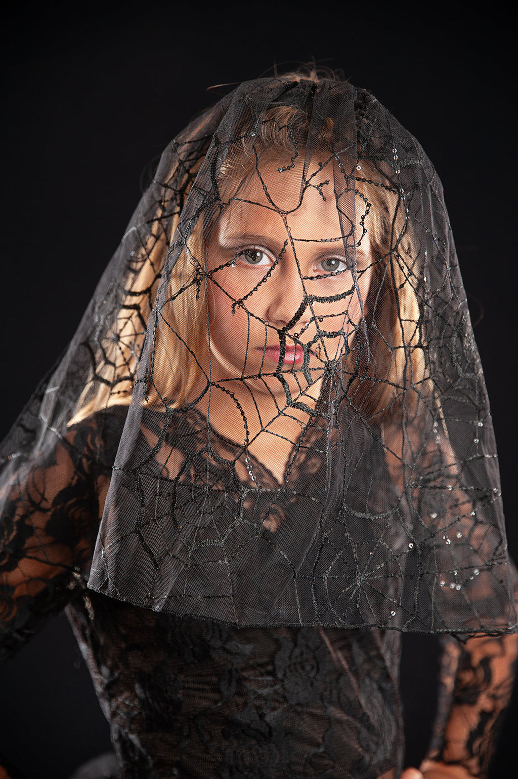 VEIL AND SPIDERWEB MESH TOP (NO TUTU)