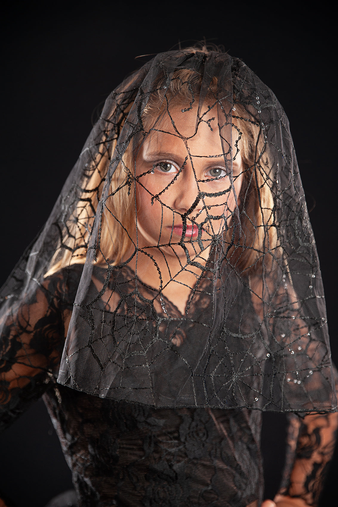 VEIL AND SPIDERWEB MESH TOP (NO TUTU)