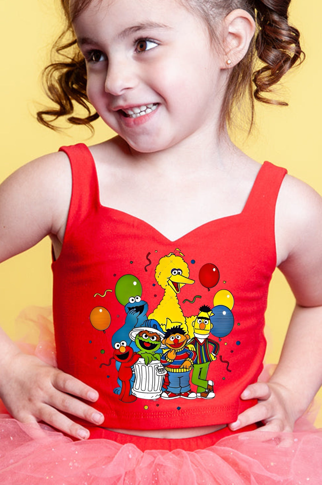 Sesame Street friends tutu set