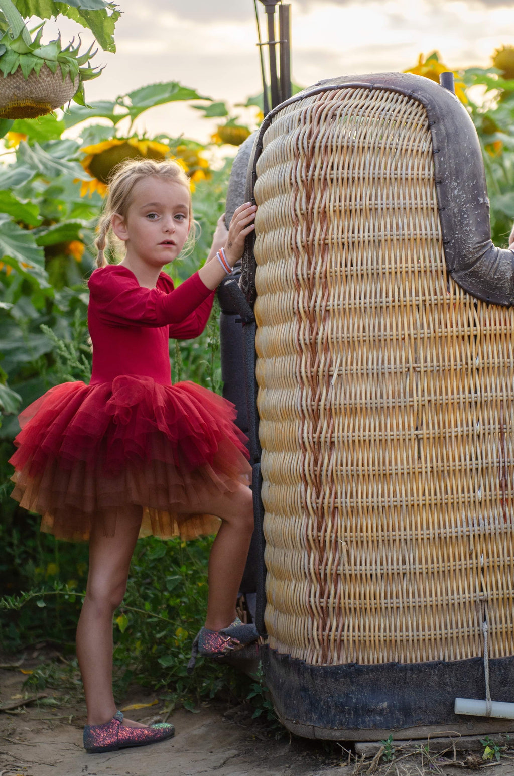 Wine ombré soft tulle tutu Leo one piece