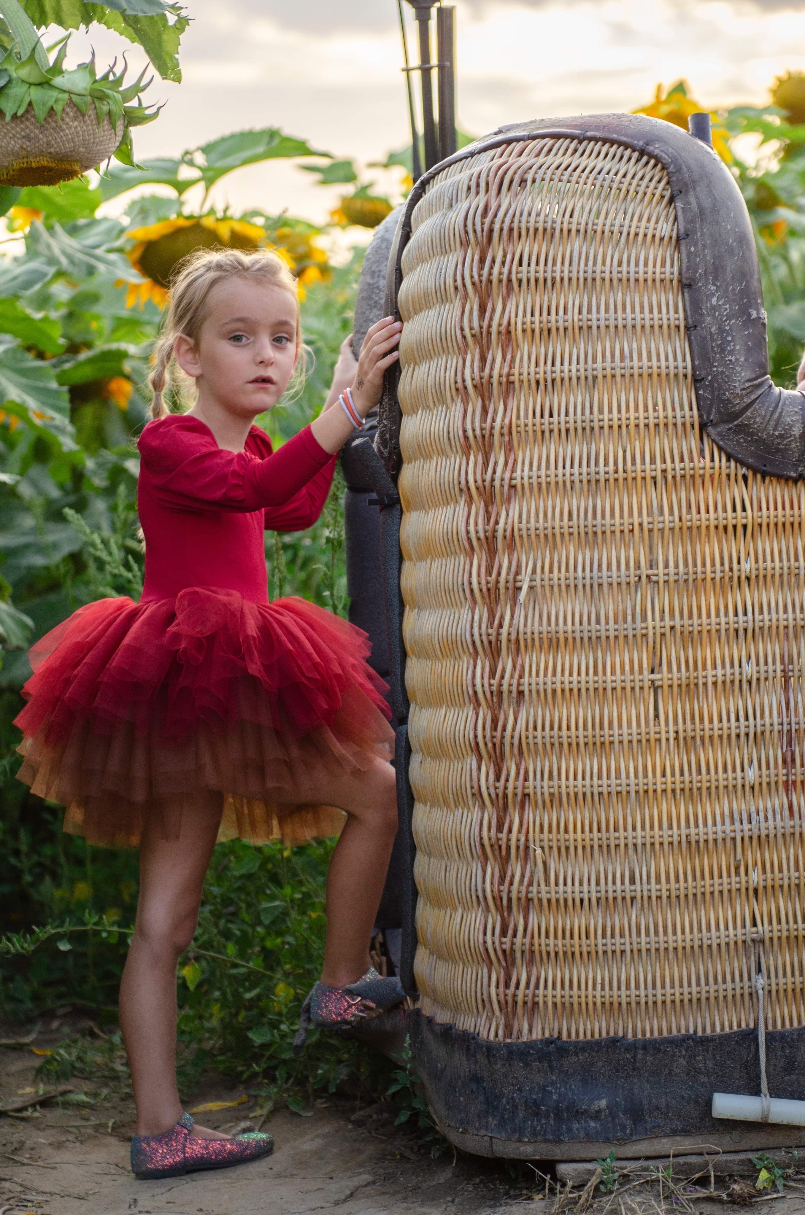 Wine ombré soft tulle tutu Leo one piece