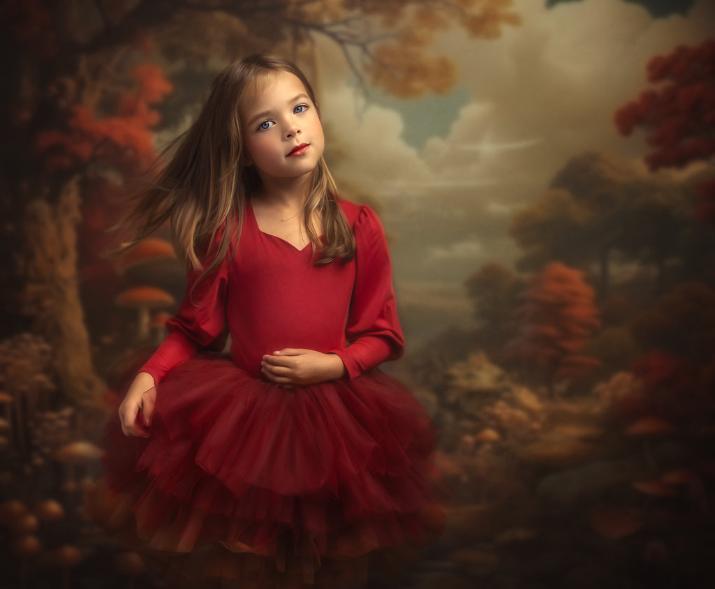 Wine ombré soft tulle tutu Leo one piece