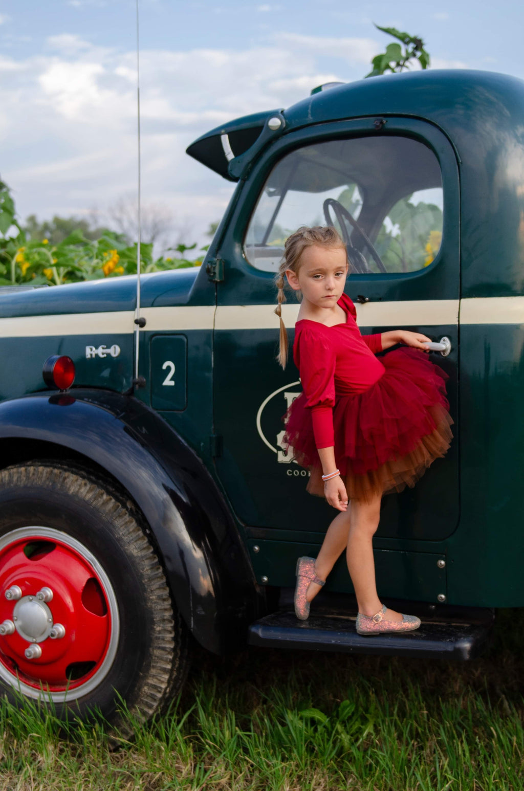 Wine ombré soft tulle tutu Leo one piece