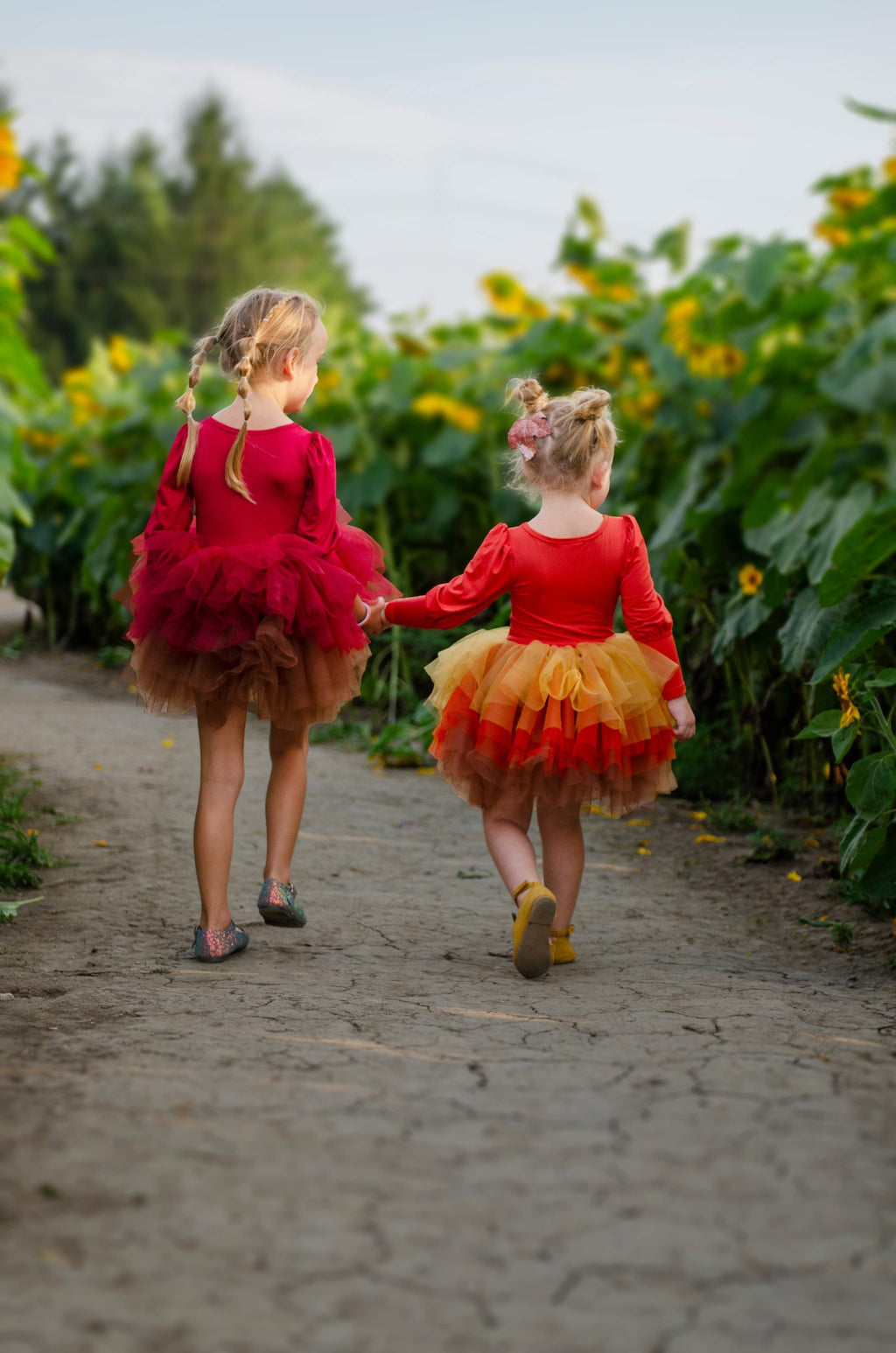 Wine ombré soft tulle tutu Leo one piece