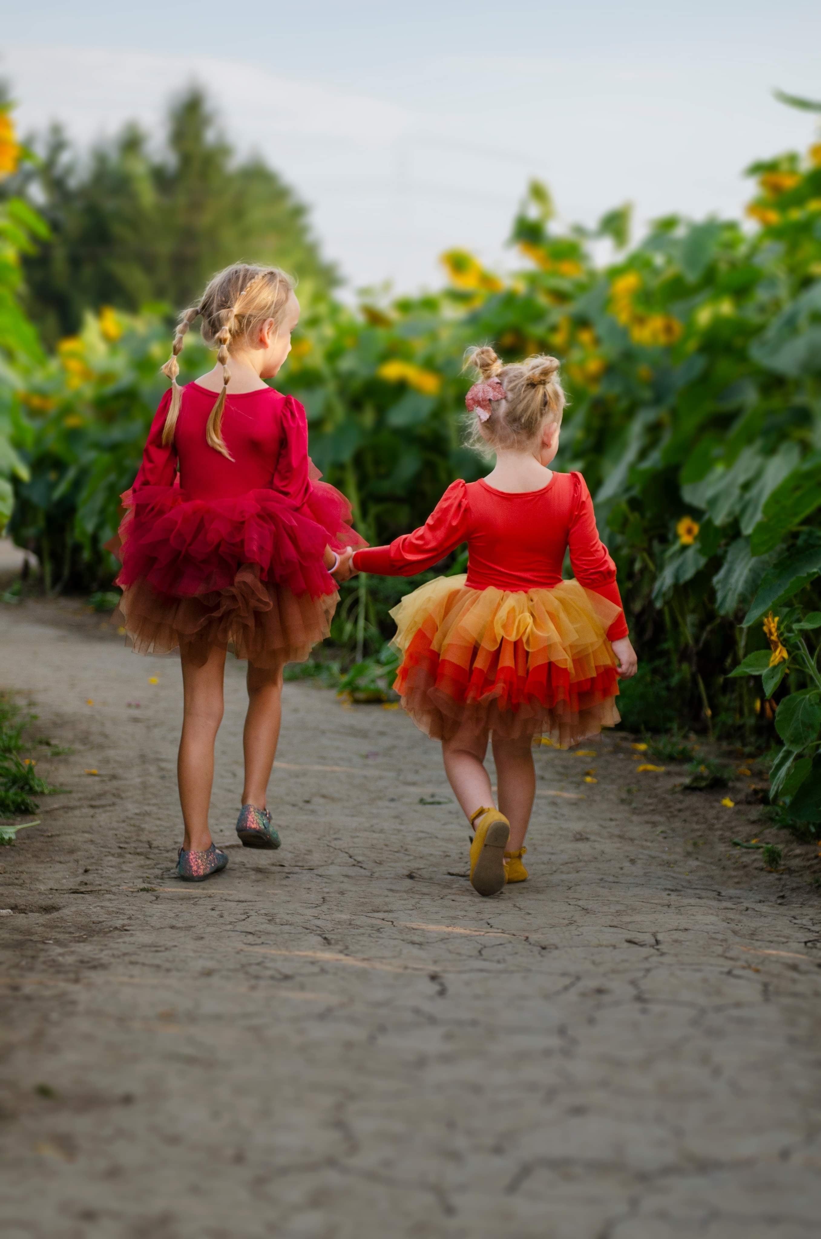 Wine ombré soft tulle tutu Leo one piece