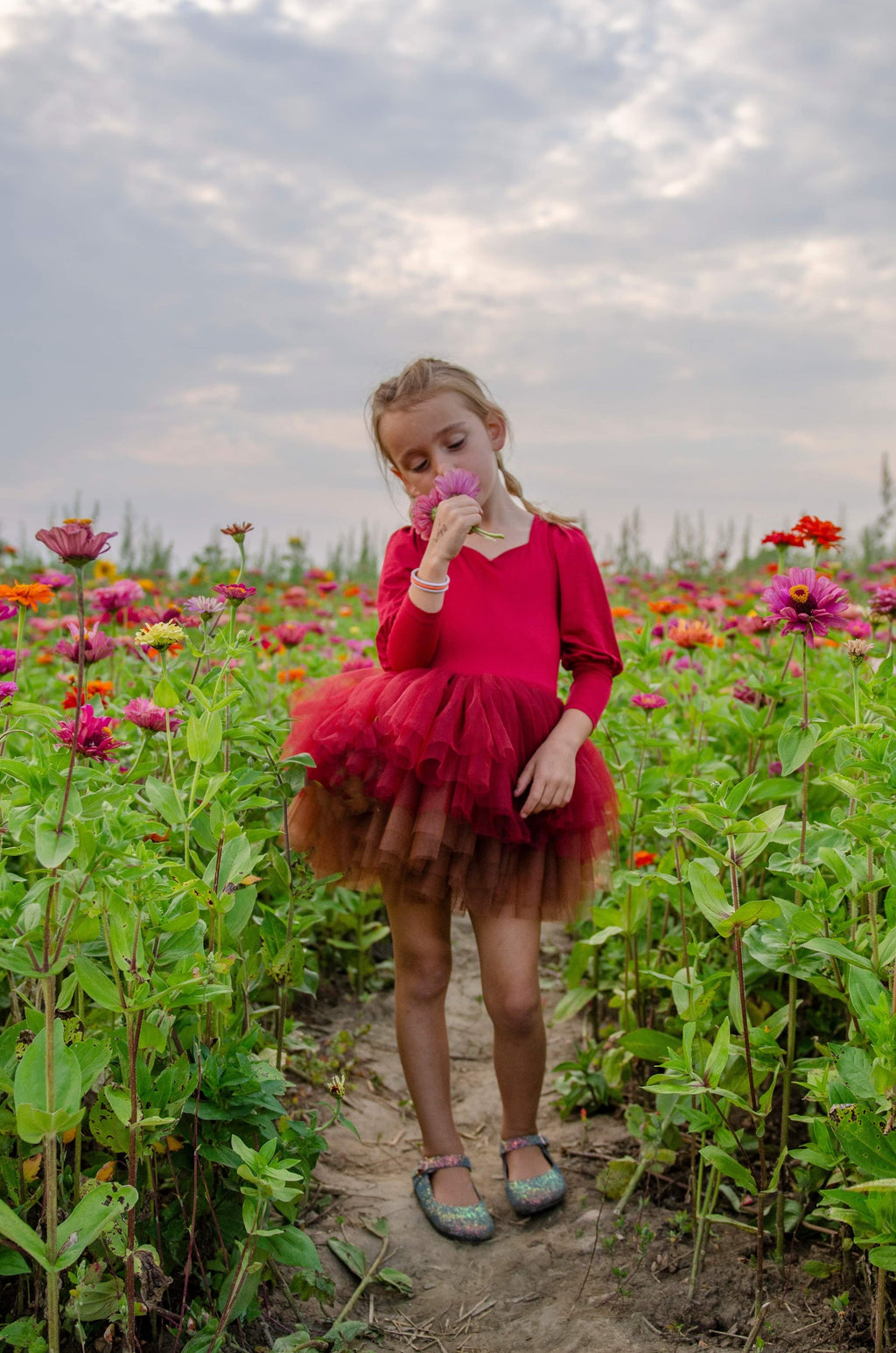 Wine ombré soft tulle tutu Leo one piece