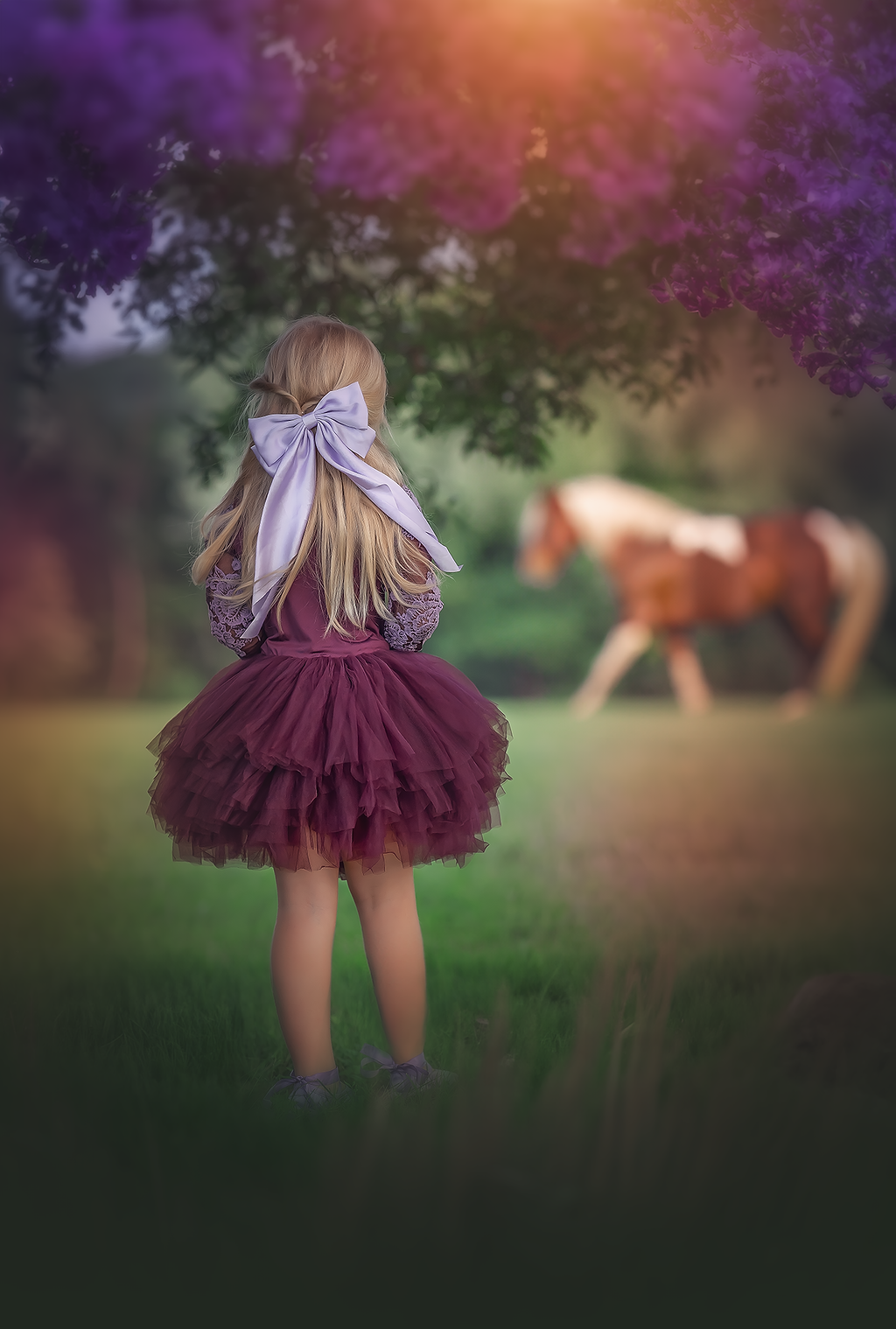 Plum lace soft tulle tutu Leo