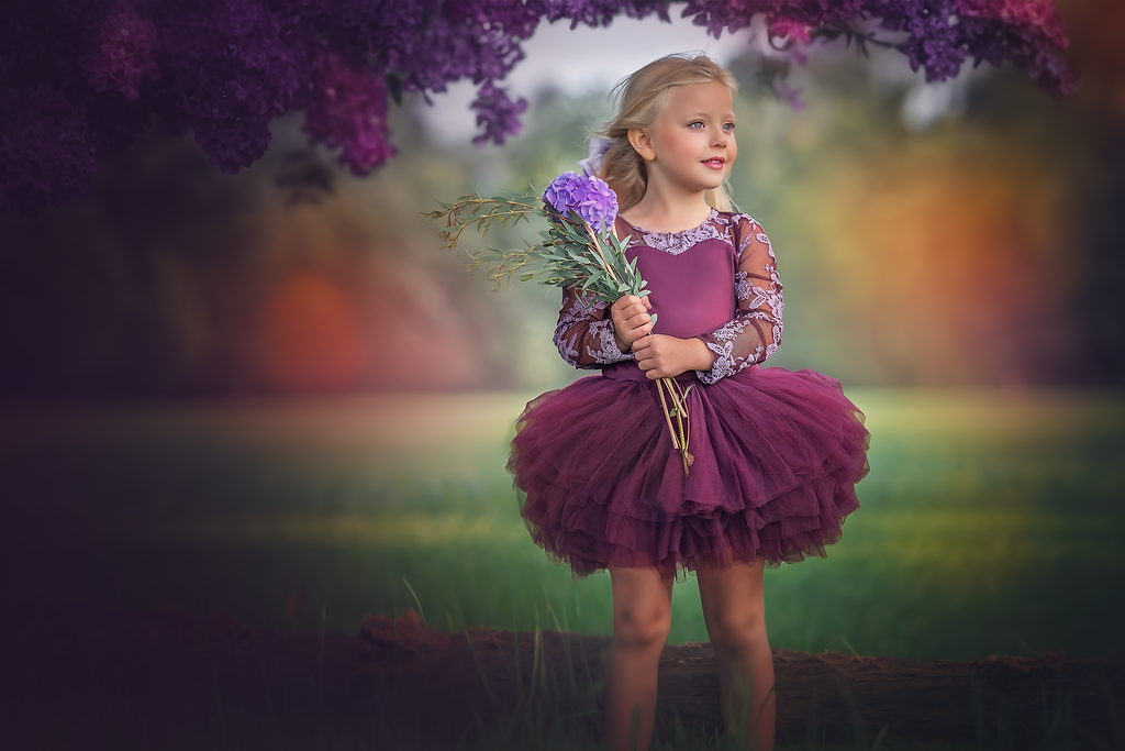 Plum lace soft tulle tutu Leo