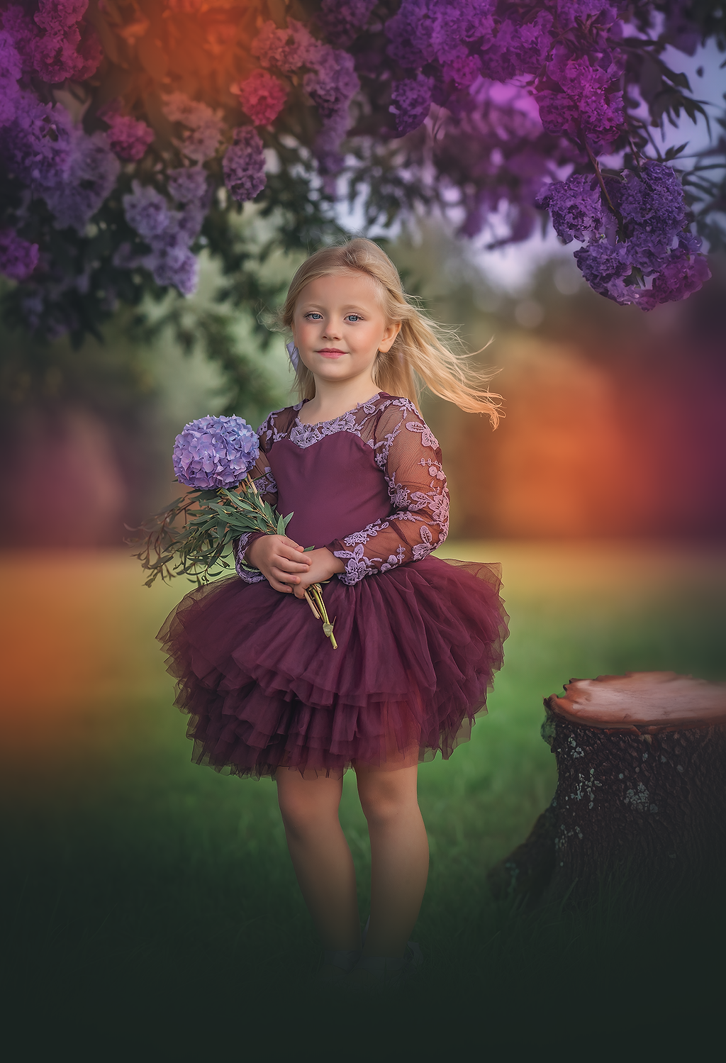 Plum lace soft tulle tutu Leo